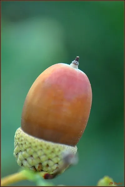 J'adore &ccedil;a, qu'est-ce que vous voulez que je vous dise de plus !