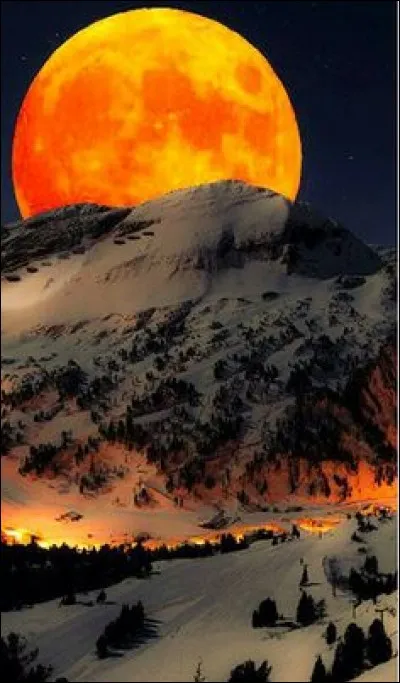 Qui était resté en orbite autour de la Lune alors que les deux autres faisaient des bonds de géant un certain 20 juillet 1969 ?