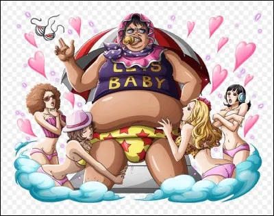 Ce personnage est utile car...