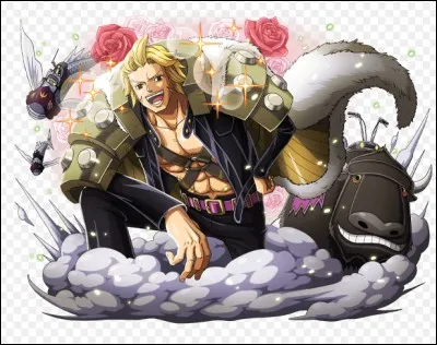 Ce personnage a combien d'évolutions ?