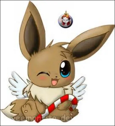 De quel(s) type(s) est Evoli ?