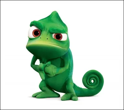 Comment s'appelle le caméléon de Raiponce ?