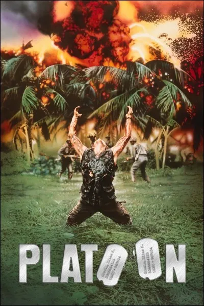 Quel est le cadre du film "Platoon" ?