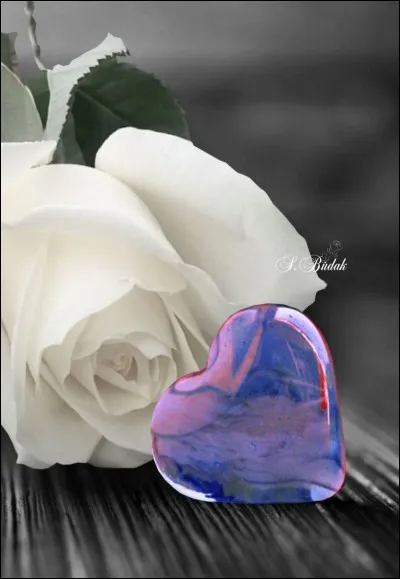 Qui chantait "Lady d'Arbanville" ?