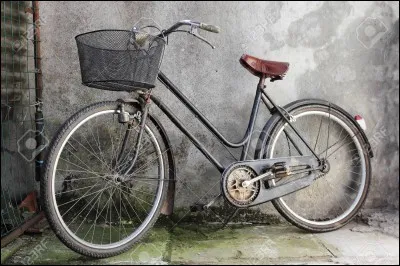 Qui a dit cette phrase célèbre : "La vie, c'est comme une bicyclette, il faut avancer pour ne pas perdre l'équilibre." ?