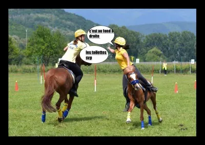 Comment s'appelle l'endroit où l'on met les poneys, souvent par 2 ?