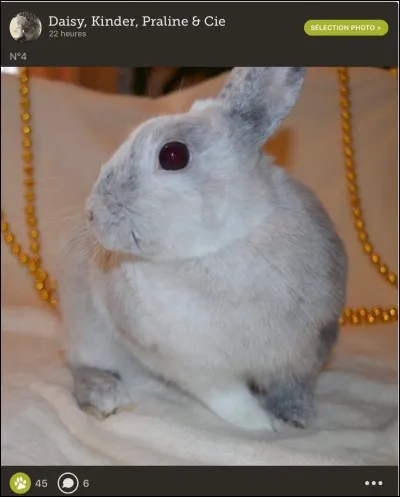 Où se situe la malocclusion ?