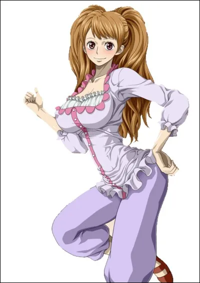 Comment s'appelle le fruit du démon de Pudding ?