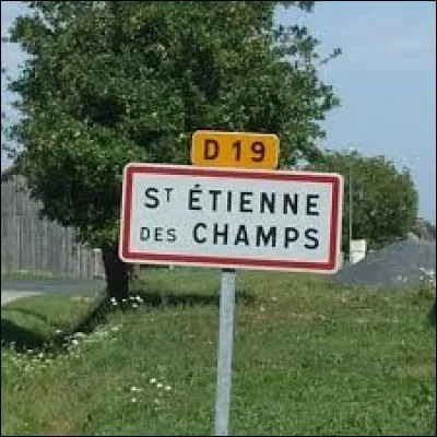 Nous sommes dans l'ancienne région Auvergne, à l'entrée de Saint-Étienne-des-Champs. Nous nous situons dans le département ...