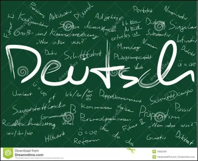 UN PEU DE GEOGRAPHIE : 
Quelle langue principale parle-t-on en Allemagne ?