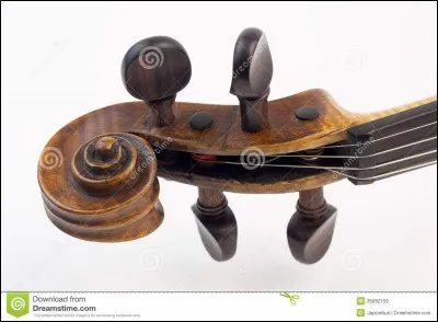 À quoi servent les chevilles ?