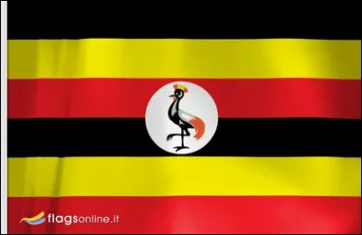 Quelle langue principale parle-t-on en Ouganda ?