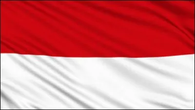 Quelle langue principale parle-t-on en Indonésie ?