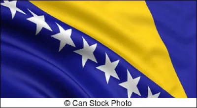 Quelle langue principale parle-t-on en Bosnie ?