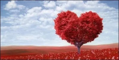 Que penses-tu de l'amour ?