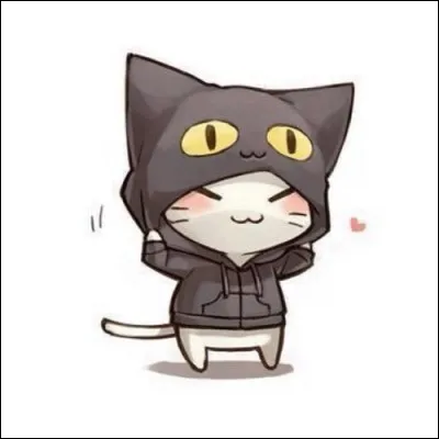 Quel est ton animal préféré ?