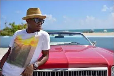 La chanson ''Cheerleader'' d'OMI est arrivée en Europe en 2015. Quel terme français correspond à peu près à ''cheerleader'' ?