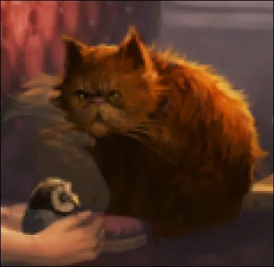 Comment s'appelle ce chat ?