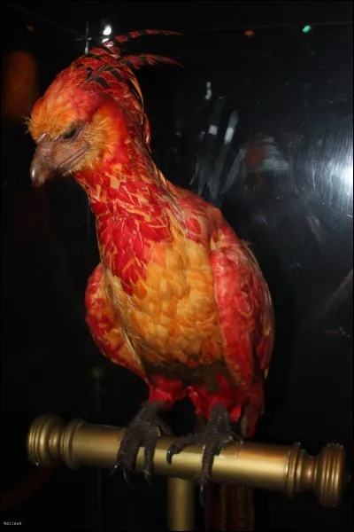 Comment s'appelle-t-il ?