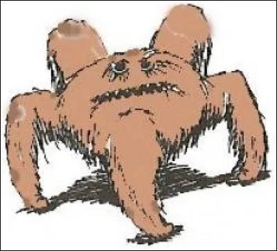 Qu'est-ce que c'est ?