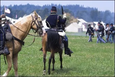 Et finalement, où se passent généralement les histoires ?