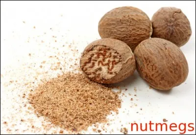 Pour concocter un quiz non connoté sur le Connecticut, connectez-vous ! Cet État est appelé « The Nutmeg State ». Mais que signifie « a nutmeg », en langage familier ?