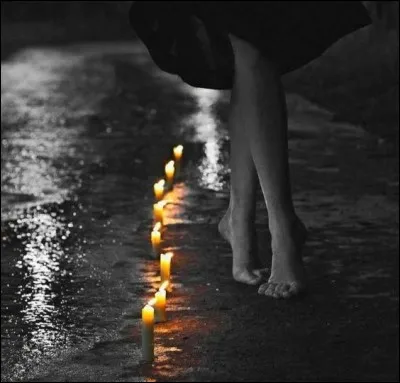 Quel commissaire sera chargé de faire la lumière sur le meurtre de Raymond Couchet survenu dans son bureau de la place des Vosges, dans le roman "L'ombre chinoise" ?