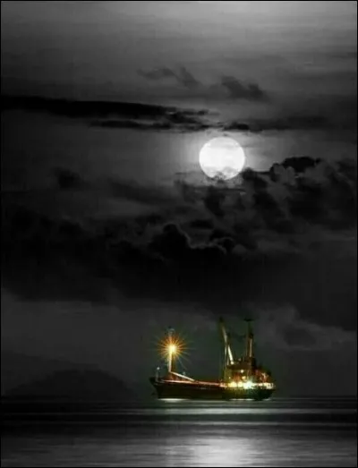 Qui chantait, en hommage aux boat-people : "Au jardin de lumière et d'argent, pour oublier les rivages brûlants, un peu plus près des étoiles..." ?