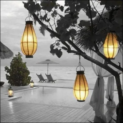 Quelle Américaine d'origine irlandaise a écrit le roman policier " L'ombre de ton sourire" ?