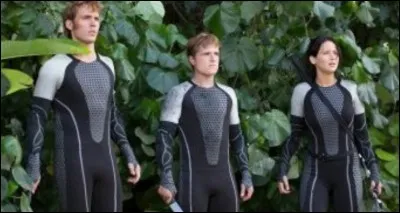 Qui rejoint Katniss, Peeta et Finnick en cours de jeu ?