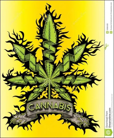 Quel est le plus grand producteur mondial de cannabis ?