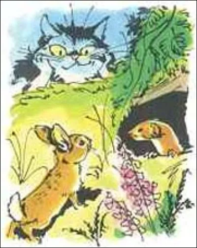 Que fait la belette pour hypnotiser le lapin qu'elle est en train de chasser ?