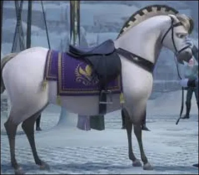 A qui est ce cheval ?