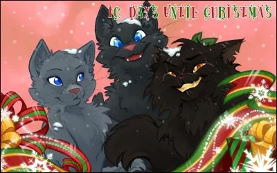 Ma fille est morte de froid, lors de la mauvaise saison. Je suis...