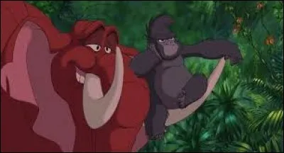 Comment s'appellent les deux amis de Tarzan ?