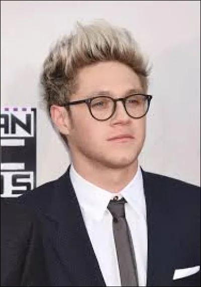 En quelle année est né Niall Horan ?