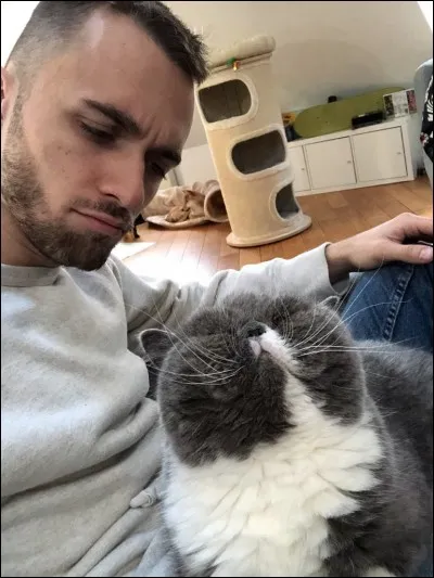 Comment se nomme ce petit chat ?