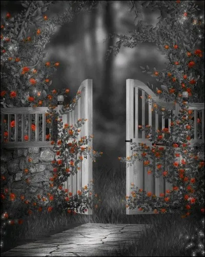 Je maintiens que les quiz décorés devraient être mieux récompensés par l'administration, il faut dire que je décore tous mes quiz, il y va de mon propre intérêt !