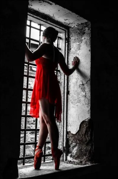 Qui chantait "Les portes du pénitencier bientôt vont se refermer" ?