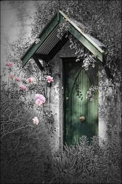 Si nous nous sommes vus très furtivement, quelle est l'expression consacrée ?