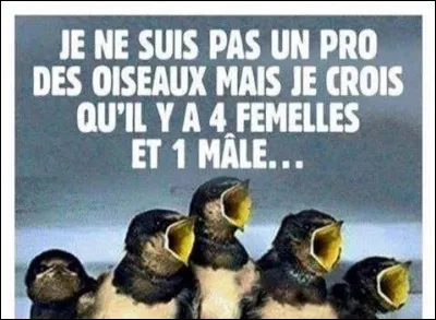 Quel est le seul oiseau à pouvoir voler en arrière ?
