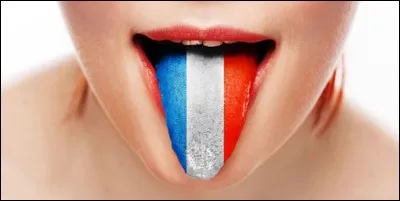 Quelle langue est essentiellement à l'origine du français ?