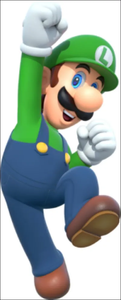 Dans quel jeu "Mario" apparaît Luigi ?