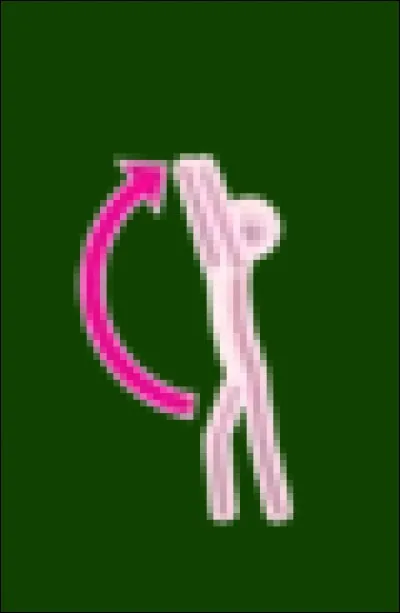 Ce pictogramme apparaît dans Hot'n'Cold (JD1). Dans quel autre gameplay peut-on effectuer le mouvement qu'il interprète ?