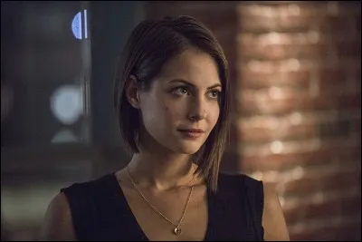 Qui est-ce ? ("Arrow")