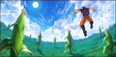 Quel est le niveau du BB corn ?