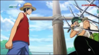 Pourquoi Zoro et Luffy se sont-ils fait encha&icirc;ner ?