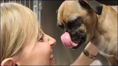 Dans quelle émission voit-on ce chien ?