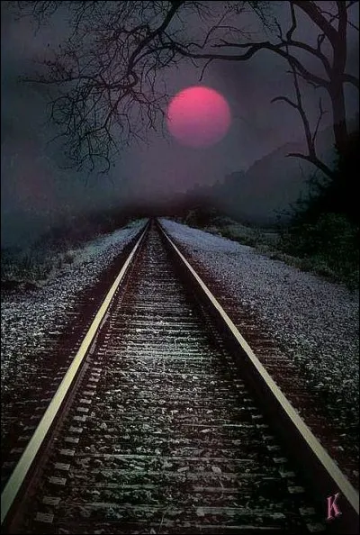 Quel acteurs étaient à l'affiche du film de Lelouch "Partir, revenir" ?