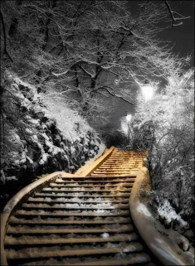 Qui jouait dans le film "Le train" de Granier Deferre ?